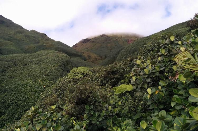 La Soufrière, Parc national de la Guadeloupe