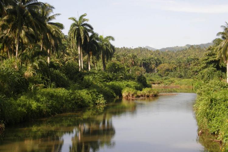Alejandro de Humboldt National Park (Cuba)