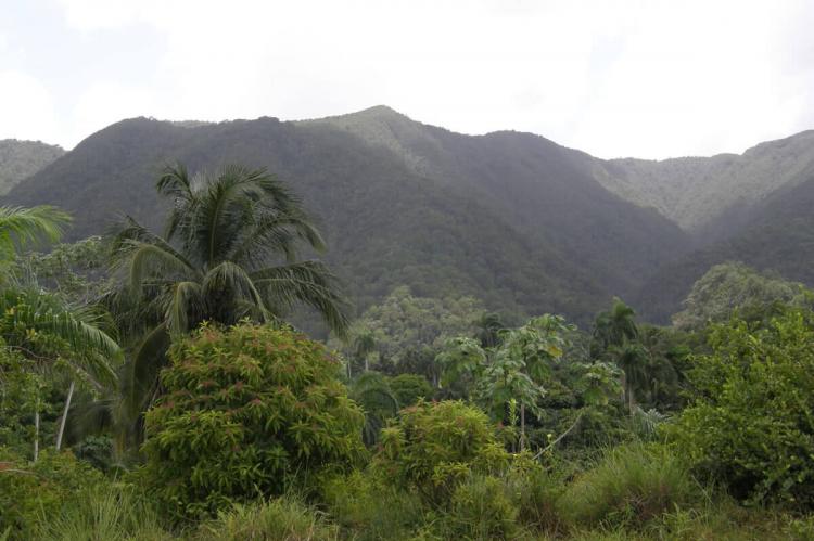 Alejandro de Humboldt National Park (Cuba)