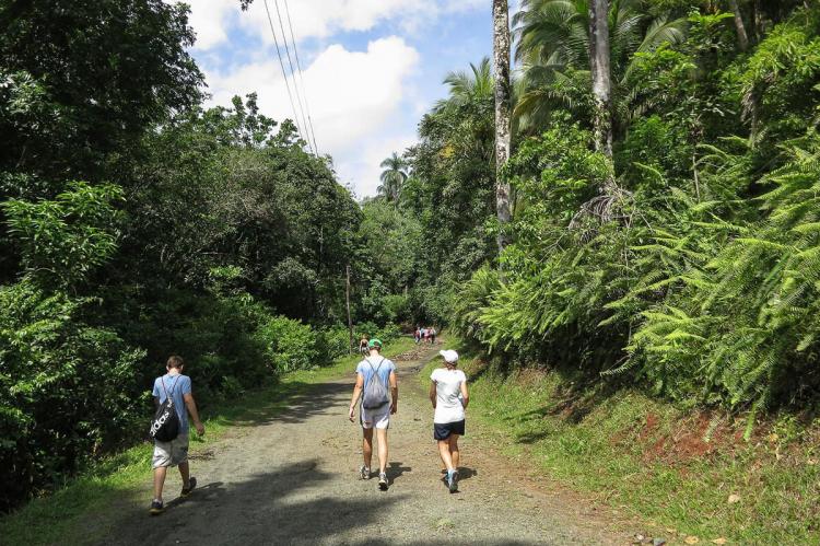 Alejandro de Humboldt National Park (Cuba)