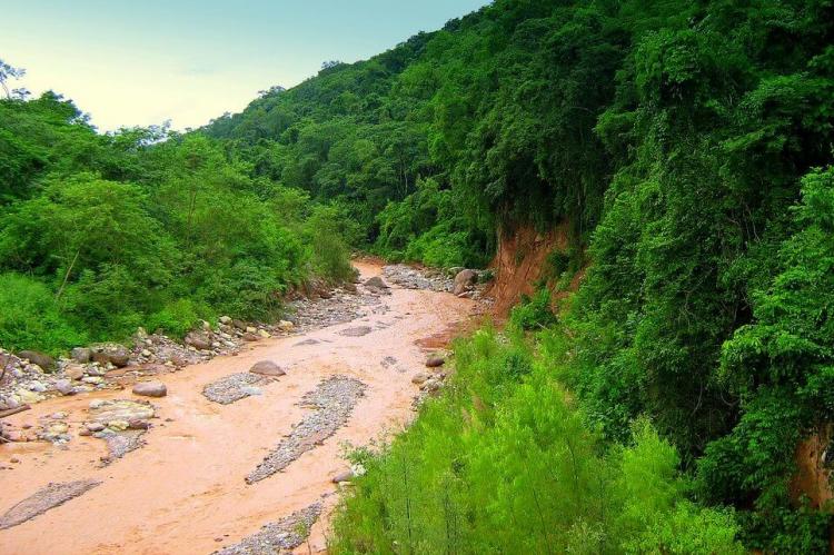 Parque Nacional Calilegua, Jujuy, Argentina