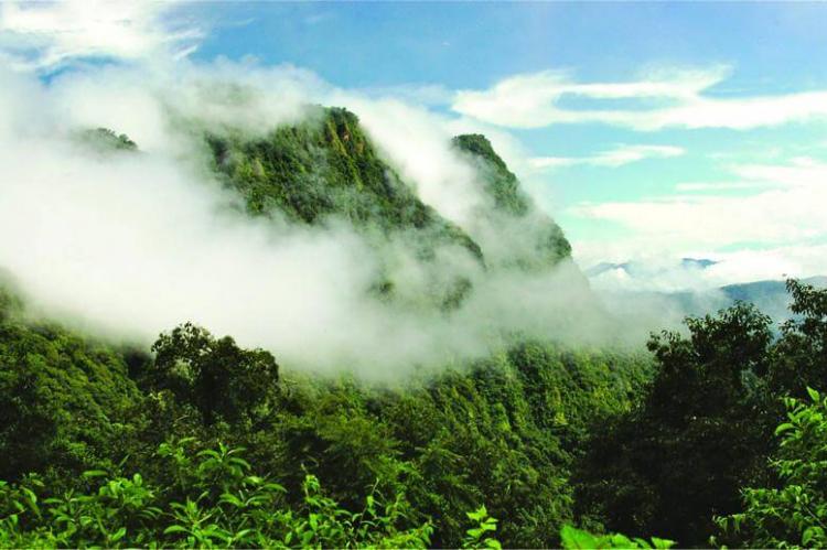 Calilegua National Park landscape, Argentina