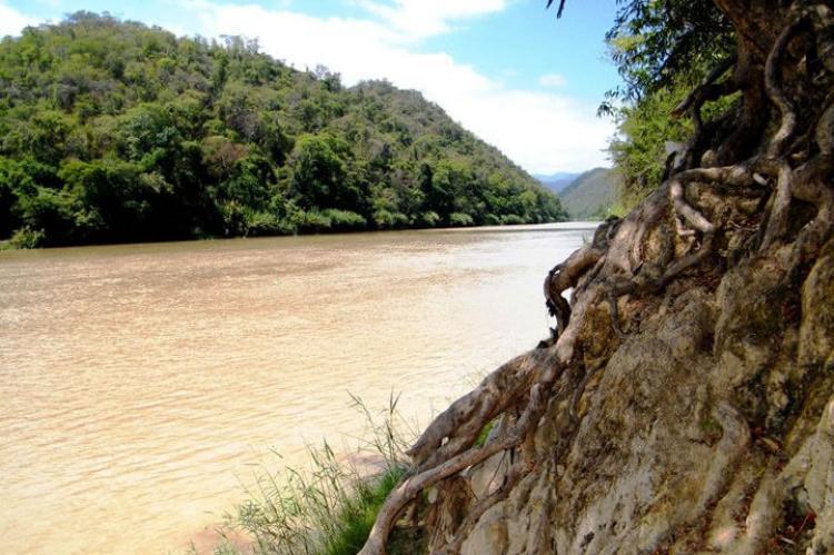 Cerros de Amotape National Park, Peru