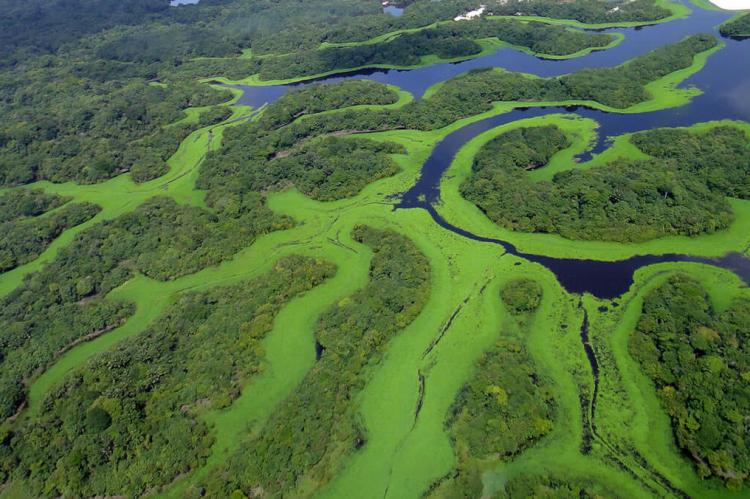Parque Nacional de Anavilhanas, Brazil