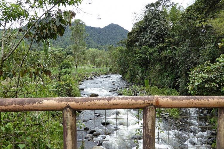 Pedestrian bridge, Mindo, Ecuador