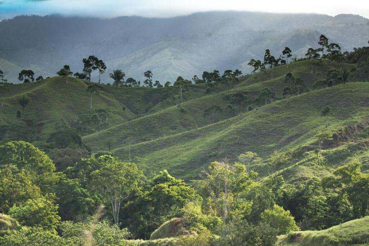 Pico Bonito National Park, Honduras