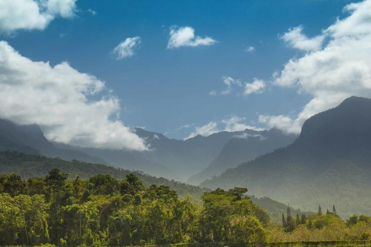 Pico Bonito National Park, Honduras