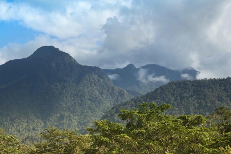 Pico Bonito National Park, Honduras