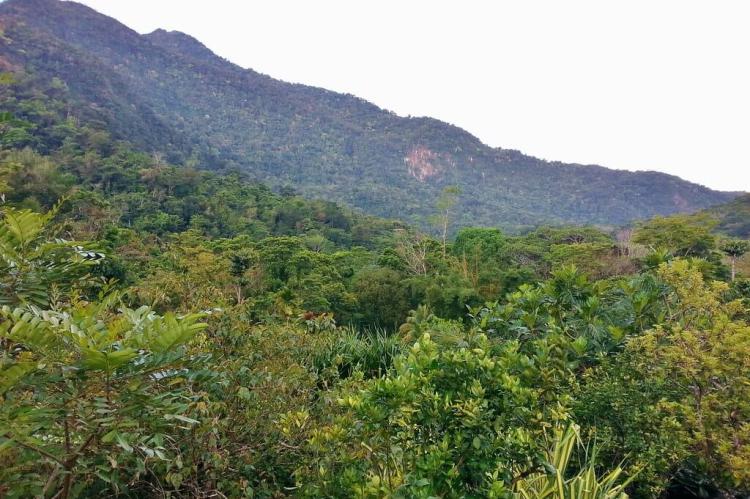 Pico Bonito, Honduras