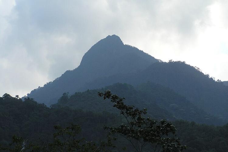 Pico De Loro, Parque Los Farallones de Cali, Colombia