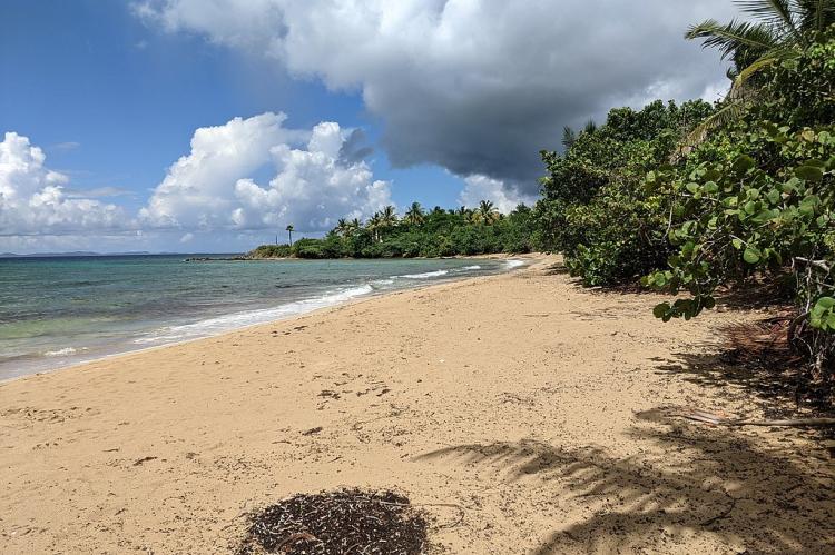 Playa El Gallito, Vieques, Puerto Rico