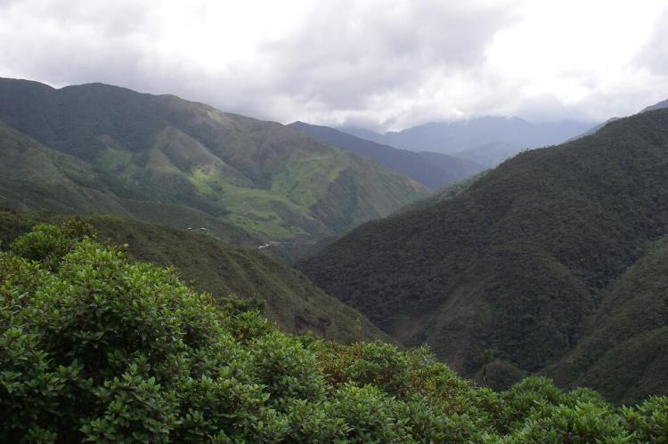 Podocarpus National Park and Biosphere Reserve, Ecuador