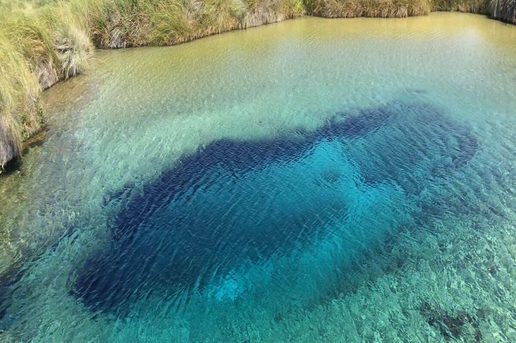 Poza Azul, Cuatrociénegas, Coahuila, Mexico