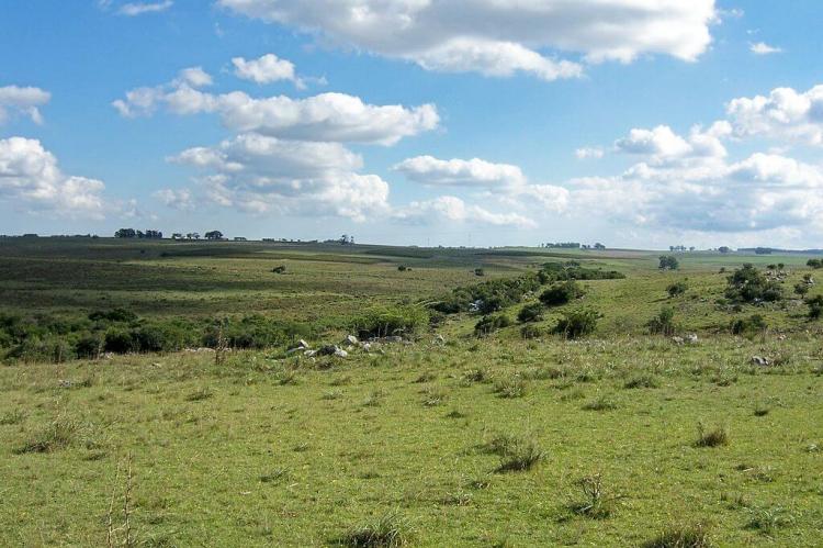 Uruguayan savanna, Uruguay