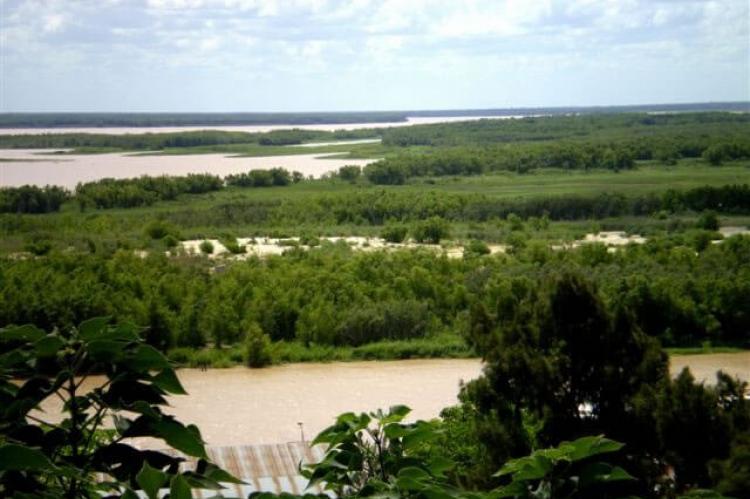 Predelta National Park, Argentina