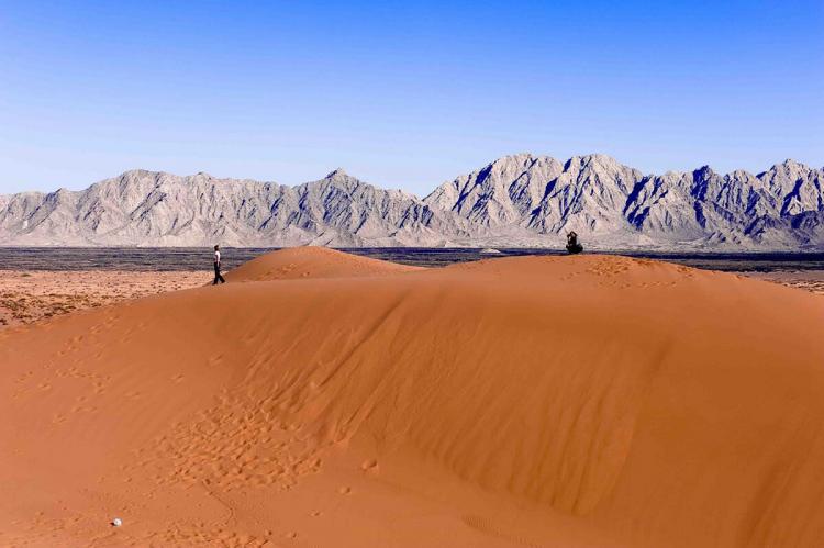 Sand dunes at El Pinacate Biosphere Reserve in northwestern Sonora, Mexico