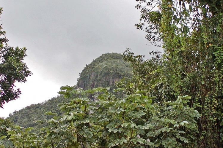 El Yunque forest, Puerto Rico