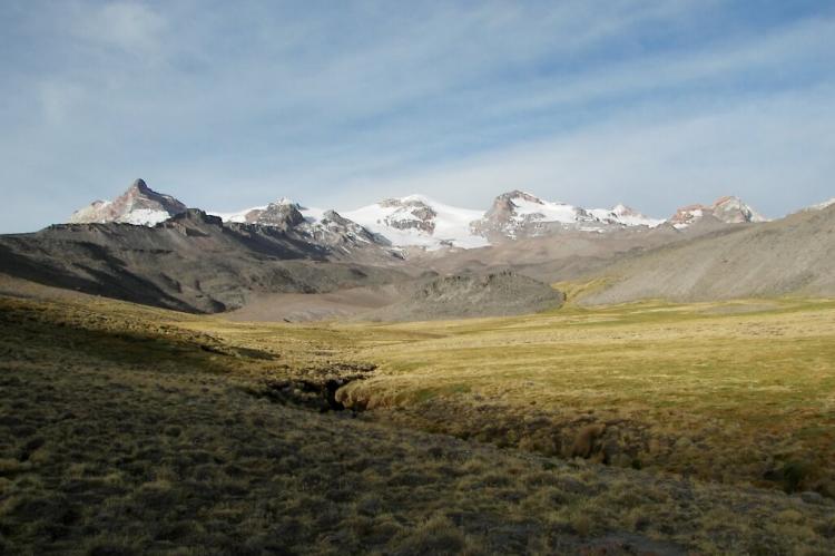 Puna grassland and Hualca Hualca volcano, Peru