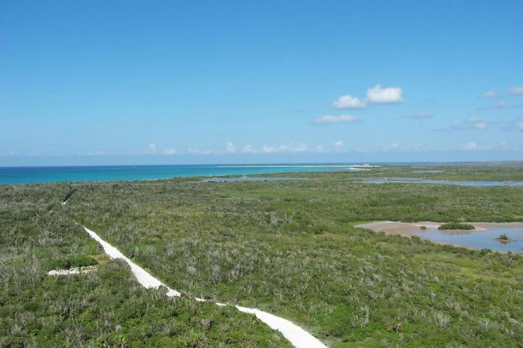 Parque Punta Sur, Arrecifes de Cozumel National Park, Mexico