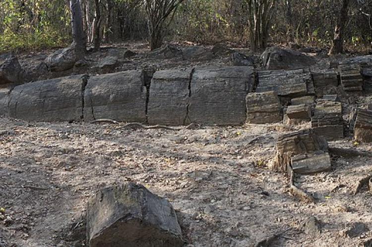 Large fossil tree in the Bosque Petrificado de Puyango in southern Ecuador