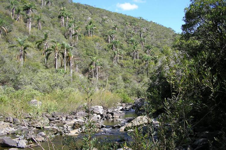 Quebrada de los Cuervos (Uruguay)