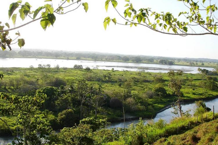Rio Cauca, Caucasia (Antioquia) Colombia