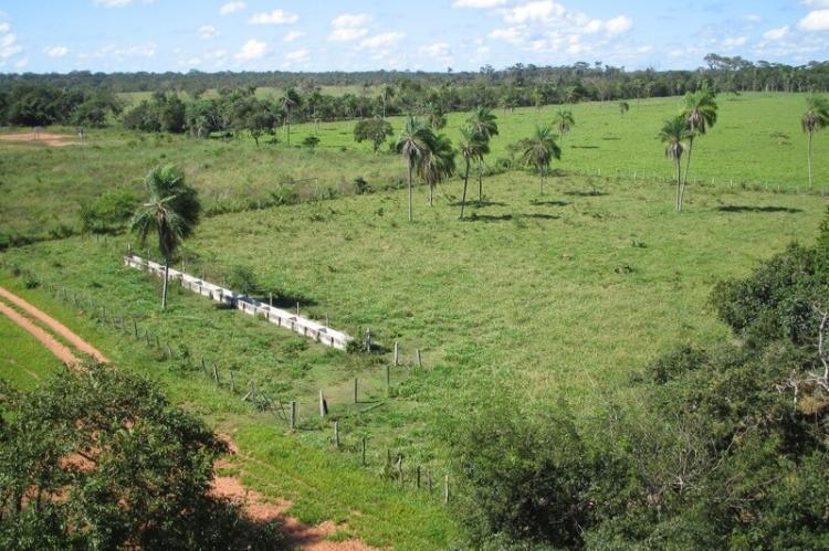 Región de los Llanos, San Ignacio, Santa Cruz, Bolivia