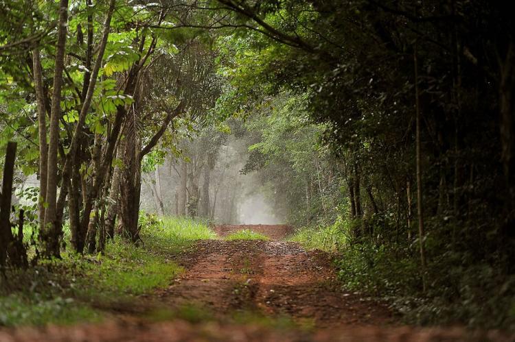 Bosque Mbaracayú Biosphere Reserve