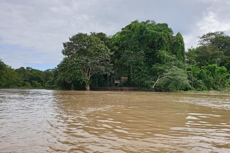 "Rio Amacayacu" riverbank in Amacayacu National Natural Park, Colombia