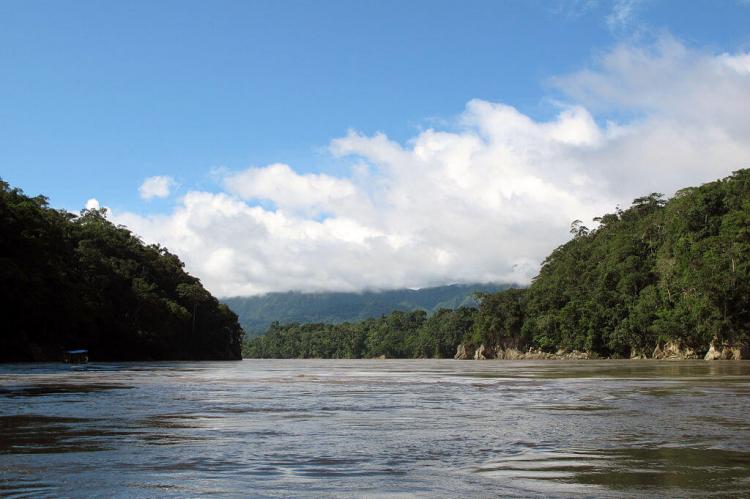 Beni River, Amazon rainforest, Bolivia
