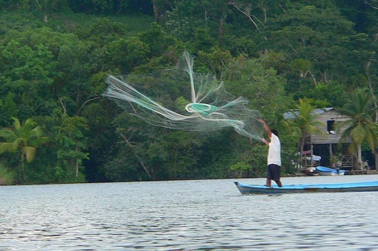 Fisher casting net on Rio Dulce, Guatemala