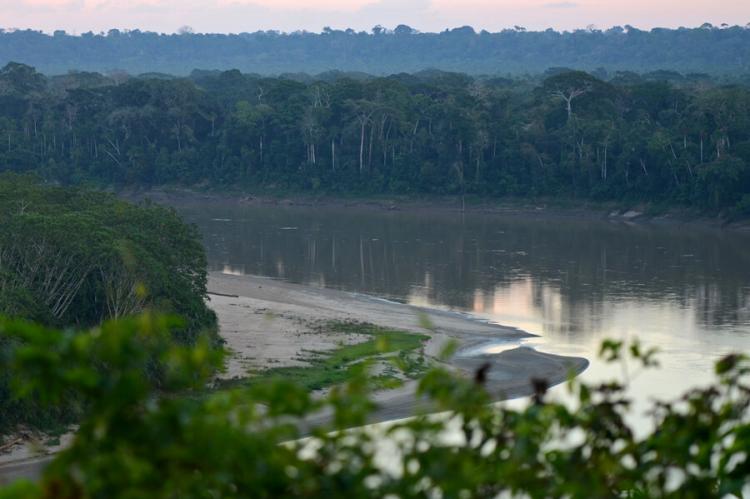 Los Amigos Conservation Concession, Madre de Dios, Peru