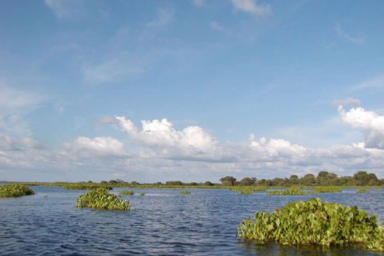 Río Magdalena (Colombia)