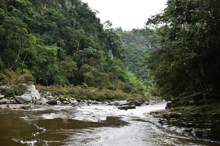 Rainforest headwaters, Rio Magdalena, Huila, Colombia 