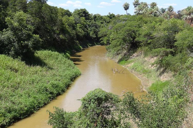 The Pilcomayo River as it passes through the Río Pilcomayo National Park, Argentina
