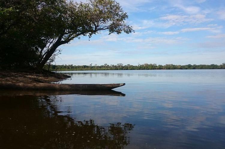 Riverbank of the Rio Xingu