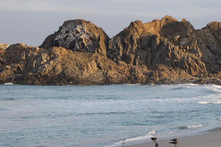 Coastal rock formation, Pan de Azúcar National Park, Chile