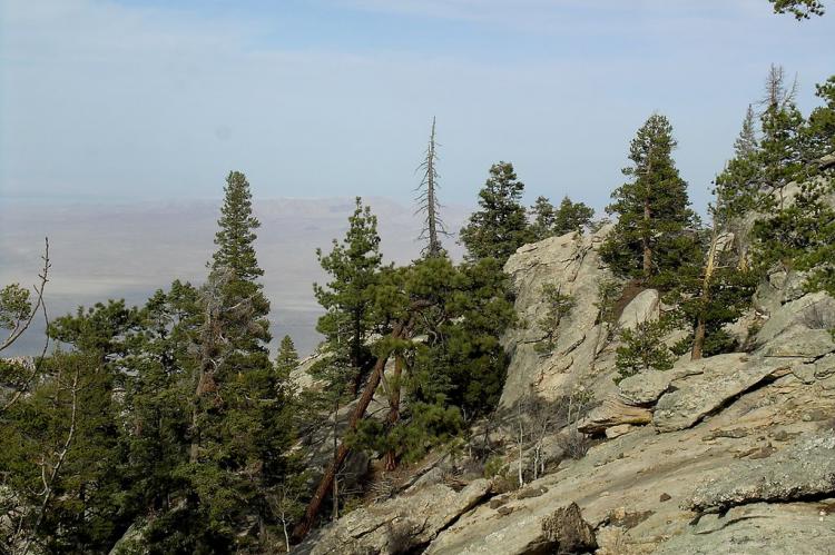 Granite rock formations in Sierra San Pedro Martir, Sierra de San Pedro Mártir National Park, Baja California, Mexico