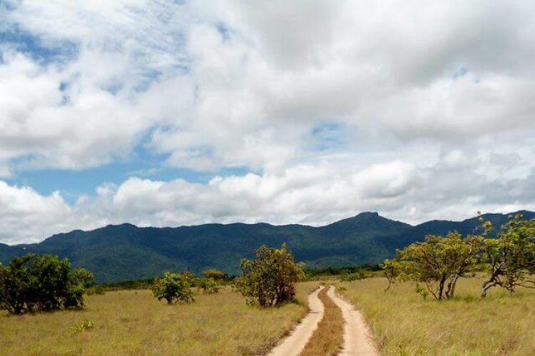 Savanna grassland, Southern Rupununi, Guyana