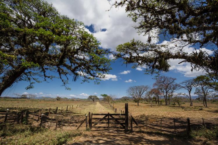 Rural landscape, Nicaragua