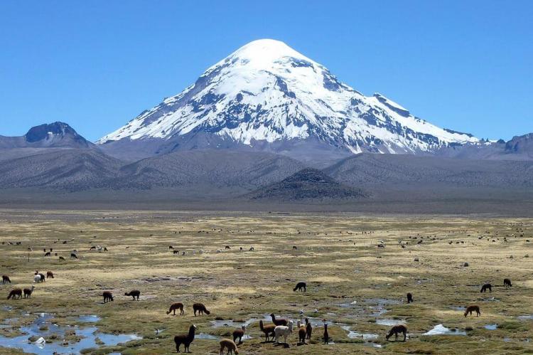 Sajama National Park, Bolivia