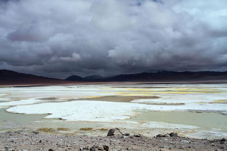 Los Flamencos National Reserve, Chile