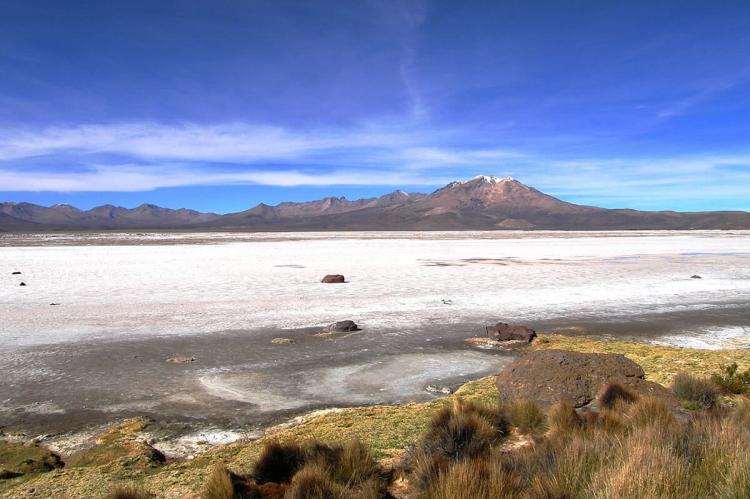 Salar de Surire Natural Monument, Chile
