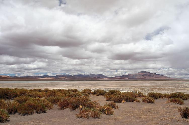 Salar de Tara, Los Flamencos National Reserve, Chile