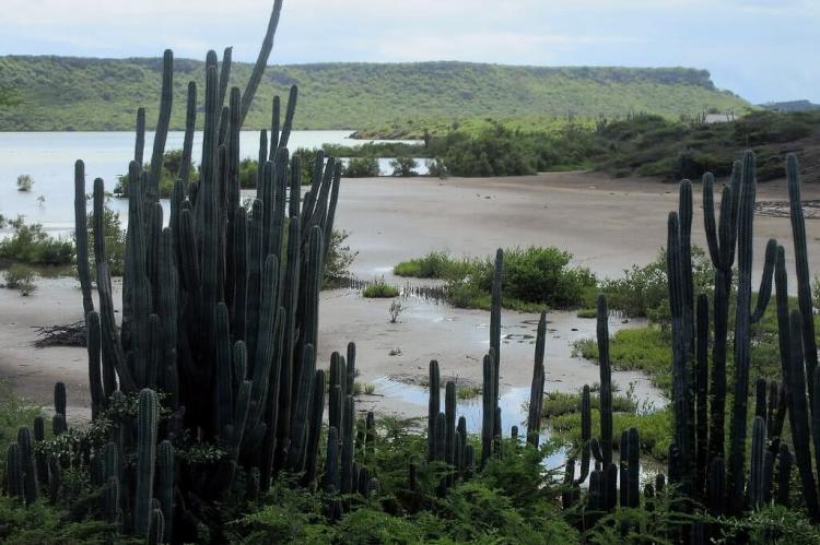 Saliña Sint Michiel, Curaçao