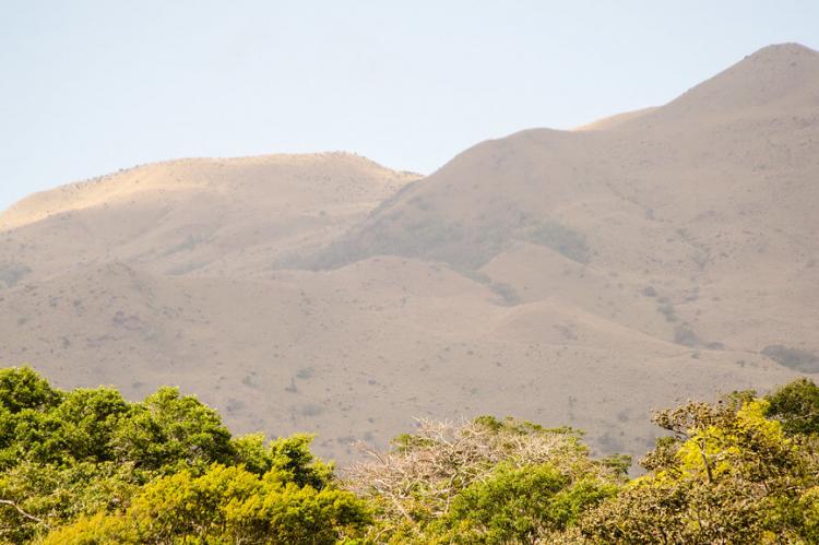 Santa Rosa, Bosque seco, Guanacaste, Costa Rica