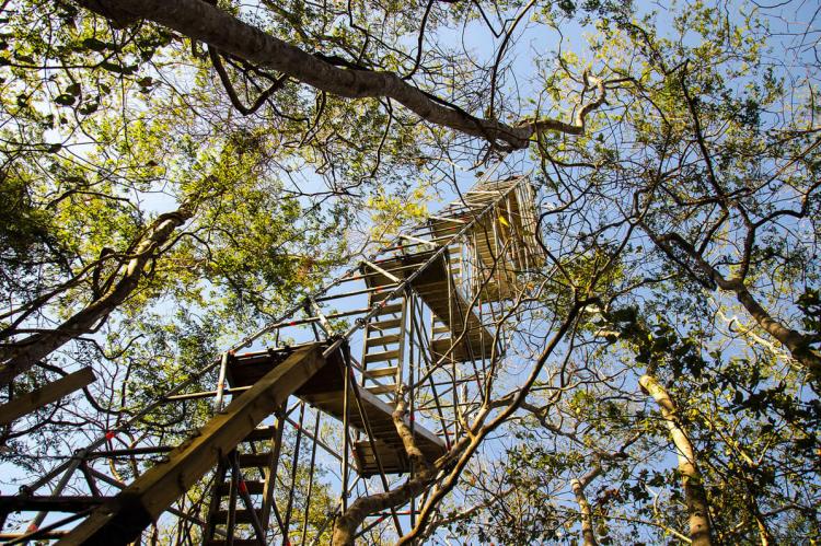 Research tower in Santa Rosa, Bosque seco, Guanacaste, Costa Rica