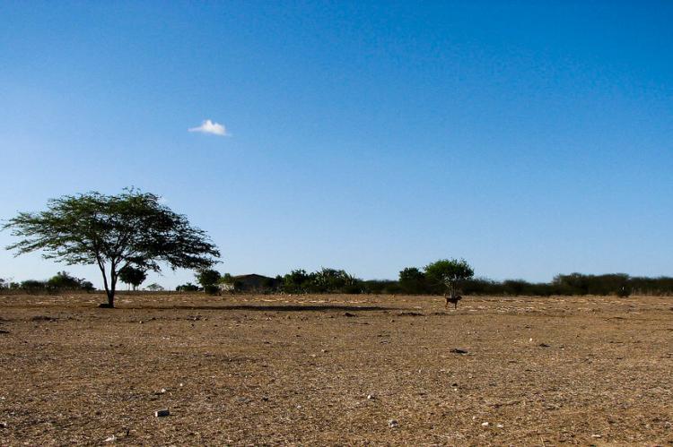 São Bento do Una, Northeastern Region of Brazil, Pernambuco State