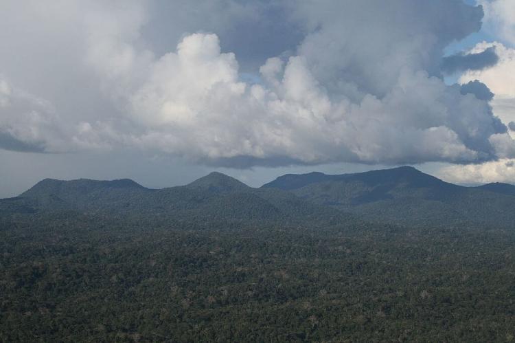 Serra Acaraí, Guyuana 