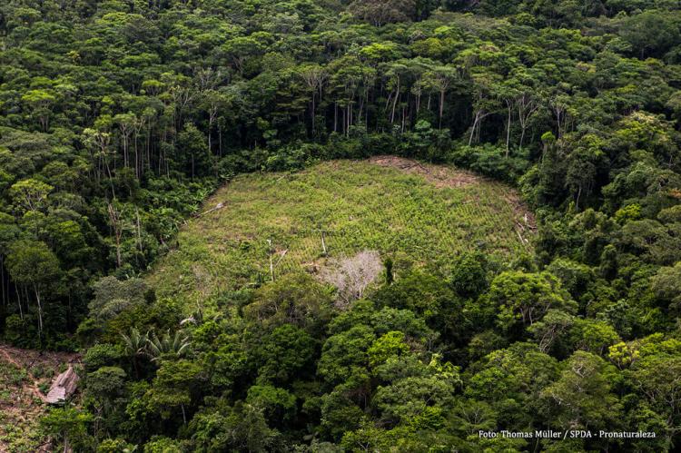 Serra del Divisor National Park, Peru 